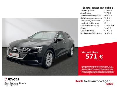 Audi e-tron large view * klicken Sie ins Bild um es zu vergrern *