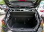 Ford Fiesta position side 10