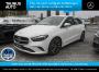 Mercedes-Benz B 250 4M PROGRESSIVE MBUX KAMERA WINTER-PAKET 