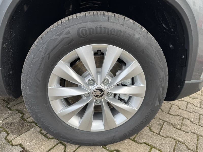 Skoda Karoq Joy 1.5 TSI DSG Parkpaket Rückfahrkamera LED SH 