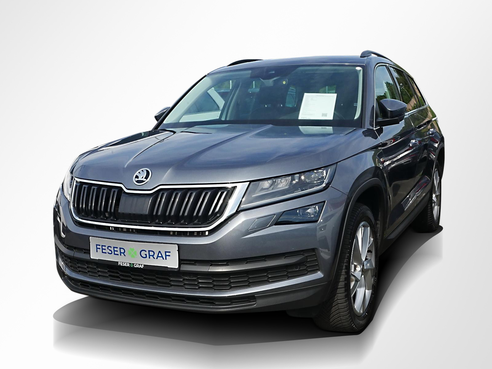 Skoda Kodiaq Ambition 4M 2.0 TSI DSG Navi AHK Kamera LED SiHz 