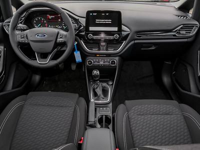Ford Fiesta 1.0 *Titanium* + Winter-Paket + Fahrassistenz-Pake 