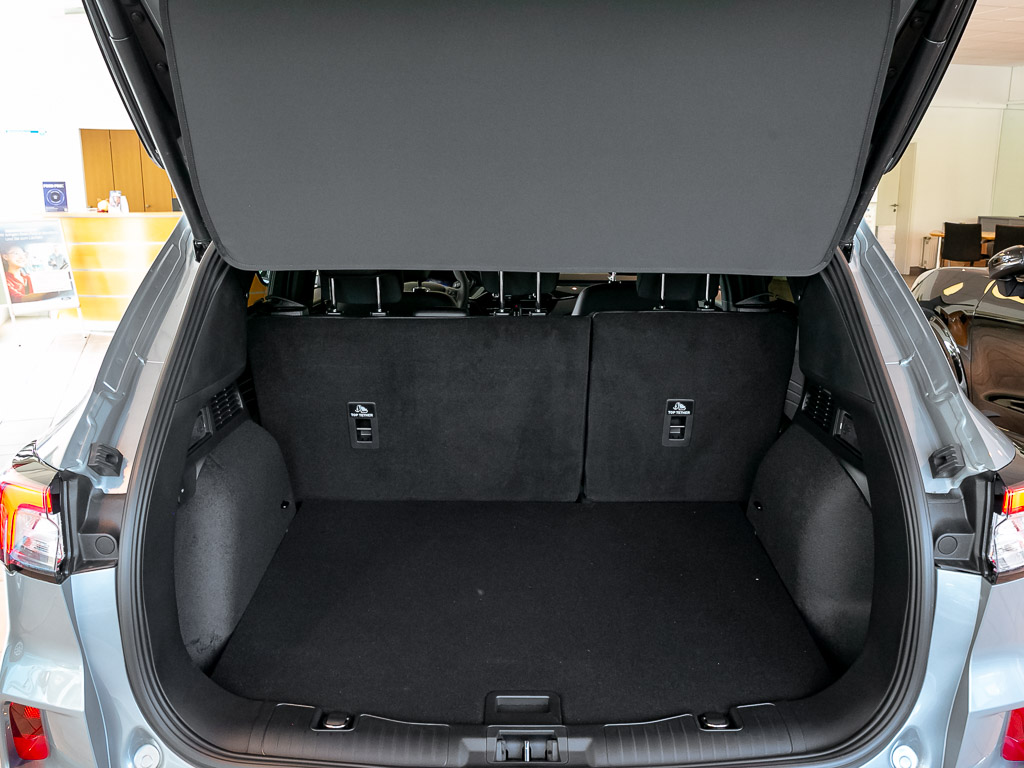 Ford Kuga ST-Line X -Navi-Bang&Olufsen-PDC vorne+hinten-Rück 