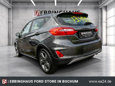 Ford Fiesta Active 1.0 EcoBoost Activ WINTERPAKET PDC TEMPOMAT 