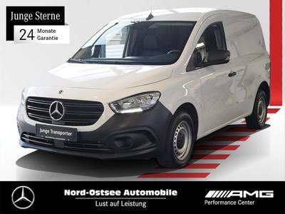 Mercedes-Benz Citan large view * Click on the picture to enlarge it *
