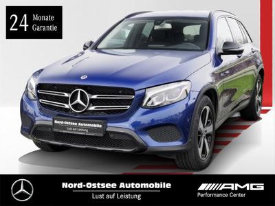 Mercedes-Benz GLC 220 large view * Click on the picture to enlarge it *