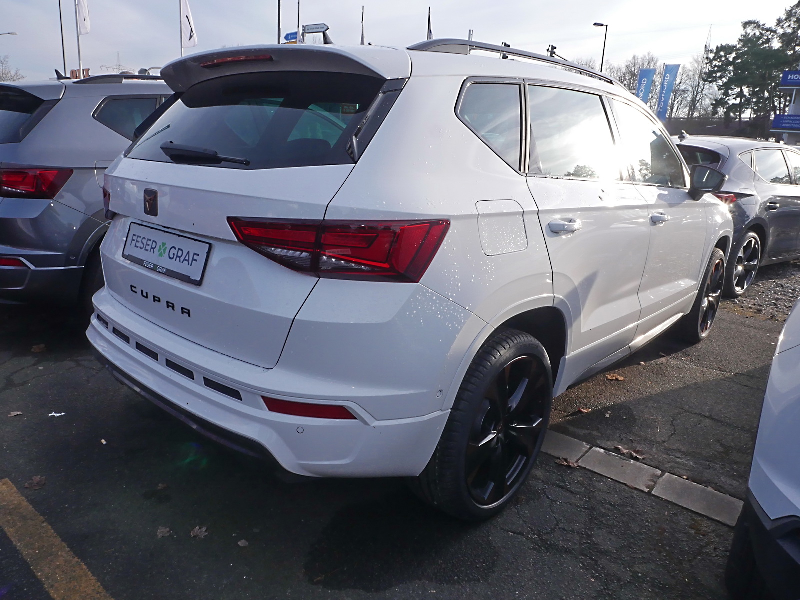 Cupra Ateca 1.5 TSI DSG AHK Top View Sitzh. 