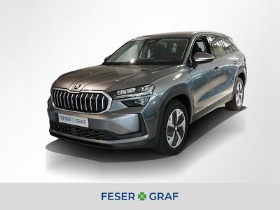 Skoda Kodiaq 2.0 TDI 4x4 DSG Selection AHK PDC RFK SHZ 