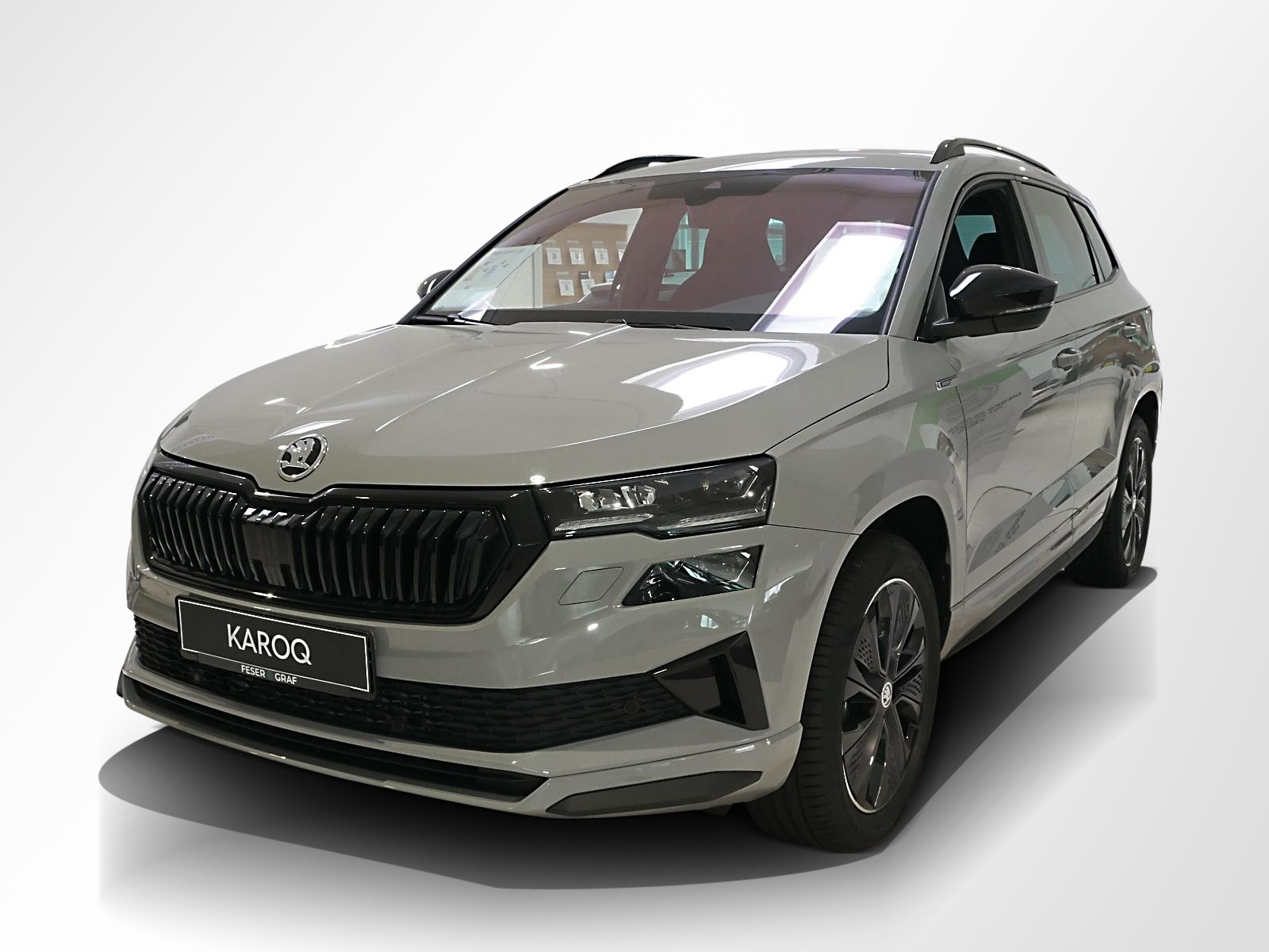 Skoda Karoq 2.0 TDI 4x4 DSG Sportline AHK Navi RFK 