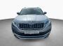 Skoda Kodiaq position side 2