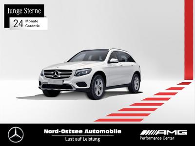 Mercedes-Benz GLC 250 large view * Click on the picture to enlarge it *