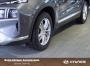 Hyundai Santa Fe Plug-in-Hybrid Prime KRELL Kamera 