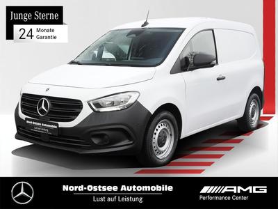 Mercedes-Benz Citan 110 AHK Navi Kamera Klima Tempo Holzboden 