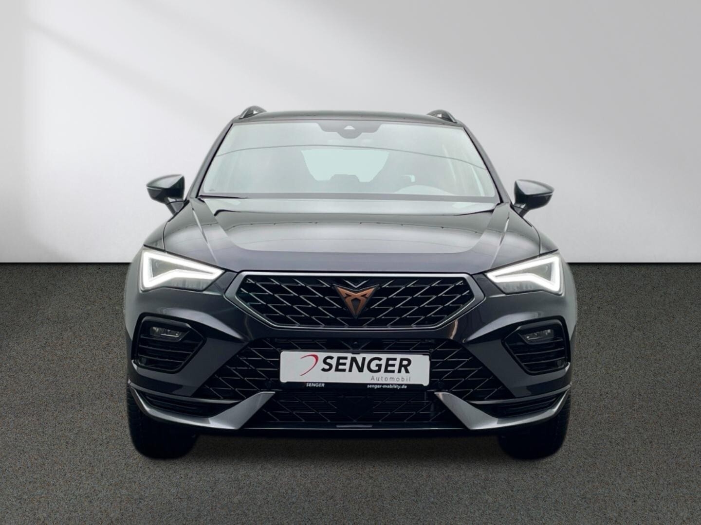 Cupra Ateca 1.5 TSI DSG Navi Kamera Fahrassistenzpaket 