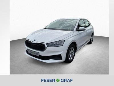 Skoda Fabia Active 1.0 TSI LED/Einparkhilfe/Klima 