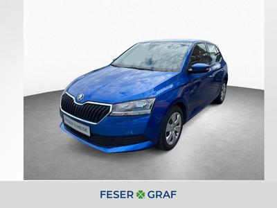 Skoda Fabia Active 1.0 Klima/Parksensoren/USB 