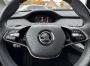 Skoda Enyaq electric 132kW Loft PLUS Chrom W-PUMPE ACC LED 