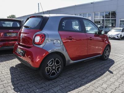 Smart EQ forfour Passion Panorama Einparkhilfe WinterP 