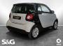 Smart ForTwo 52 kW passion Pano+15+Sitzhzg. 