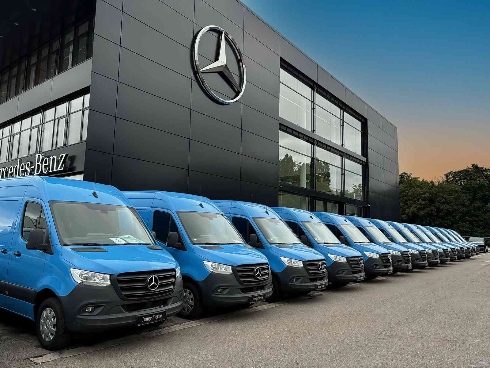 Mercedes-Benz Sprinter 317 CDI Kasten L2H2 Bär LBW Automatik 