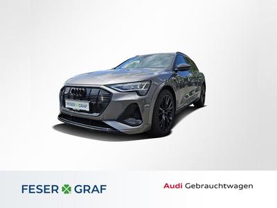 Audi e-tron large view * klicken Sie ins Bild um es zu vergrern *