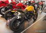 Ducati Scrambler 1100 Tribute position side 2