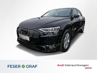 Audi e-tron large view * Click pe imagine pentru ao mari *
