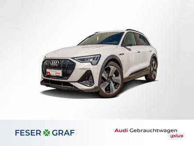 Audi e-tron large view * Click pe imagine pentru ao mari *