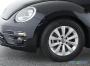 VW Beetle position side 13